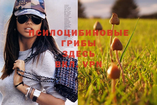 прущая мука Абдулино